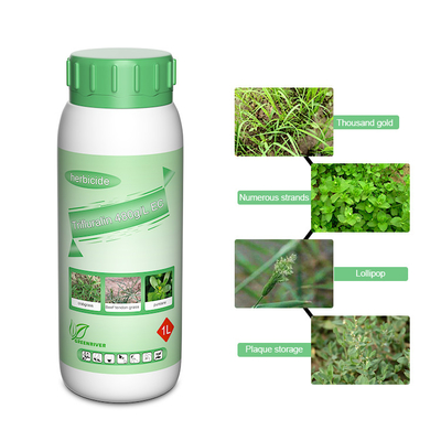 Trifluralina 48% EC herbicidas de remolacha azucarera herbicida de acción rápida cas 1582-09-8 proveedor 