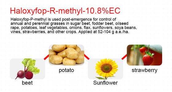 Liquid Safe Herbicide Haloxyfop R Methyl Weed Killer For Vegetable Gardens