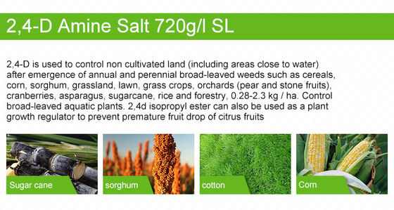 Cas 94-75-7 2-4-D Amine salt Selective Herbicides For Onions , Weeds