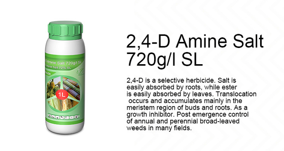 Cas 94-75-7 2-4-D Sal aminada Herbicidas selectivos para cebollas, malezas proveedor 