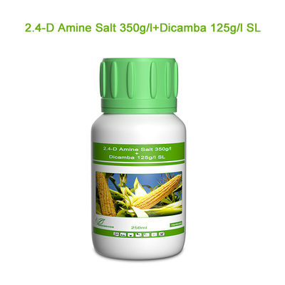 Dicamba / Triasulfuron Selective Herbicides cas 1918-00-9 / 82097-50-5