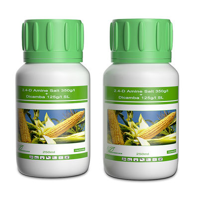 Dicamba / Triasulfuron Selective Herbicides cas 1918-00-9 / 82097-50-5