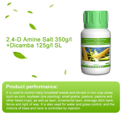 Dicamba / Triasulfuron Selective Herbicides cas 1918-00-9 / 82097-50-5