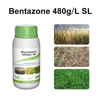 48%SL Bentazona herbicidas selectivos / 25057-89-0 herbicida de contacto para cacahuetes proveedor 