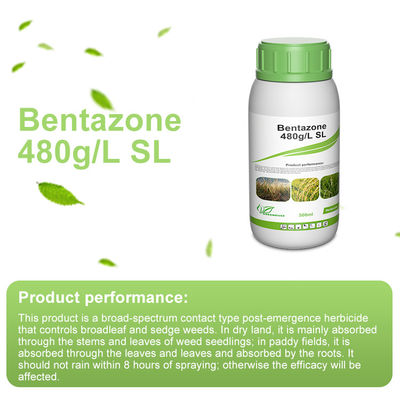 48%SL Bentazone Selective Herbicides / 25057-89-0 contact herbicide for peanuts
