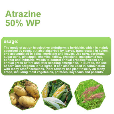 Annual Grass Broadleaf Weed Killer Atrazine Herbicide cas 1912-24-9