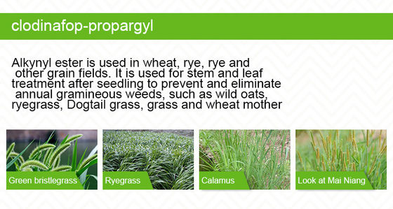 Clodinafop Propargyl Selective Herbicides 105512-06-9 , light yellow liquid