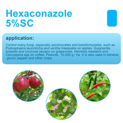 Agricultural Crops Hexaconazole systemic Plant Fungicide 79983-71-4
