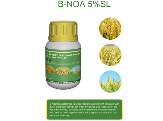 Ácido beta naftoxiacético NOA B-NOA Reguladores del crecimiento de las plantas CAS 120-23-0 proveedor 