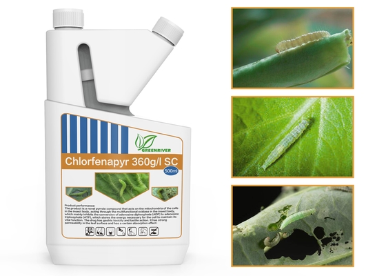 24% SC Clorfenapir Insecticida Acaricida para garrapatas, polvo blanco proveedor 