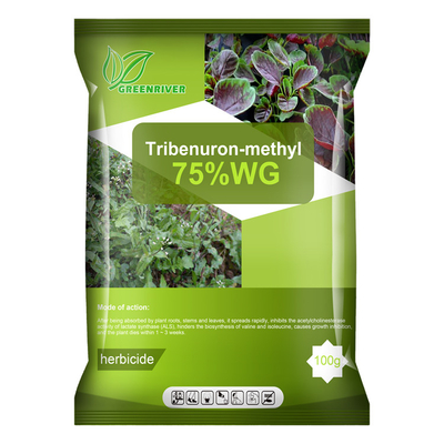 101200-48-0 Tribenuron metilo herbicidas selectivos para el maíz, polvo blanco proveedor 