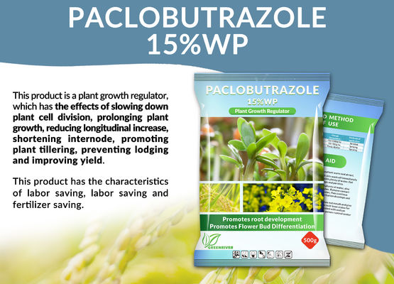 Professional Paclobutrazol Plant Growth Stimulator cas 76738-62-0