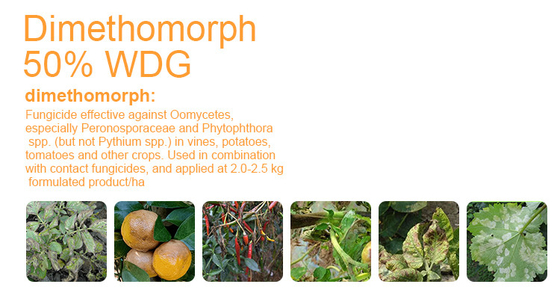 Polvo blanco Pesticida químico dimetomorfo Fungicida 50%WP 110488-70-5 proveedor 