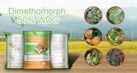 Polvo blanco Pesticida químico dimetomorfo Fungicida 50%WP 110488-70-5 proveedor 