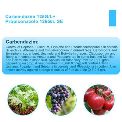 Tebuconazole 125gl + Propiconazole 125gl EC foliar fungicide
