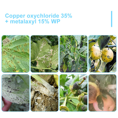 Metalaxil 1,5% Diniconazol 5% SC Fungicida para plantas para frutas y verduras proveedor 