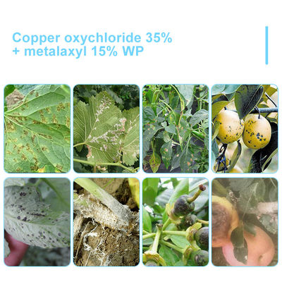 Metalaxyl 1.5% Diniconazole 5% SC Plant Fungicide For Vegetables / Fruits