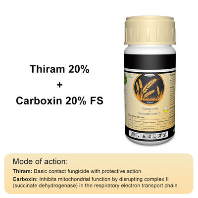 Tolclofos methyl ,Thiram contact Plant Fungicide 137-26-8 / 57018-04-9