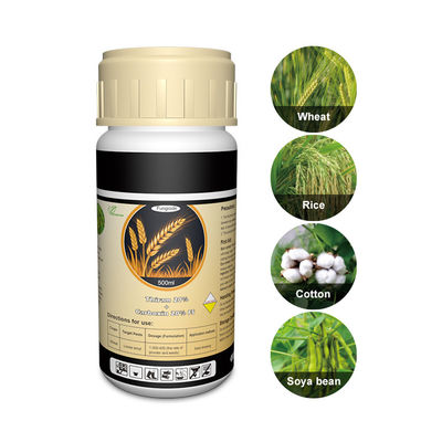 Tolclofos methyl ,Thiram contact Plant Fungicide 137-26-8 / 57018-04-9