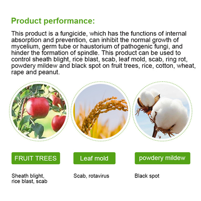 Tiofanato - Metilo 50% SC Fungicida sistémico para plantas de tomate 36734-19-7 proveedor 