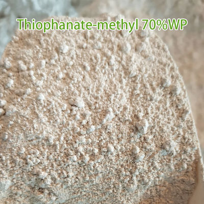 Thiophanate - Methyl 50%SC Systemic Fungicide For Tomato Plants 36734-19-7