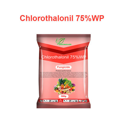 Chlorothalonil 75%WP vegetables Plant Fungicide CAS 1897-45-6