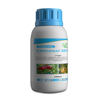Polvo blanco / líquido Productos bactericidas fungicidas sistémicos Chinosol proveedor 