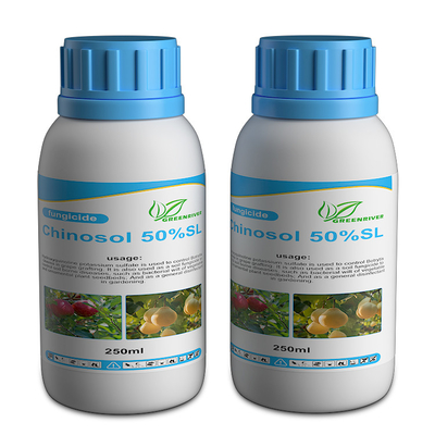 Polvo blanco / líquido Productos bactericidas fungicidas sistémicos Chinosol proveedor 