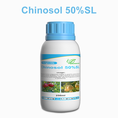 Polvo blanco / líquido Productos bactericidas fungicidas sistémicos Chinosol proveedor 