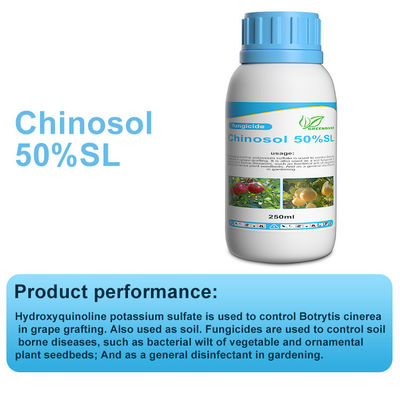 White powder / liquid Systemic Chinosol fungicide bactericide products