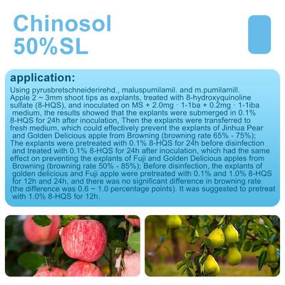 Polvo blanco / líquido Productos bactericidas fungicidas sistémicos Chinosol proveedor 