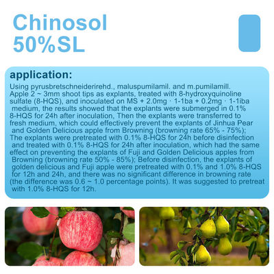 White powder / liquid Systemic Chinosol fungicide bactericide products