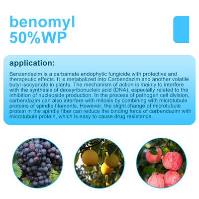 17804-35-2 Benomyl 50%WP Fungicida para plantas / Fungicida para plantas de tomate proveedor 