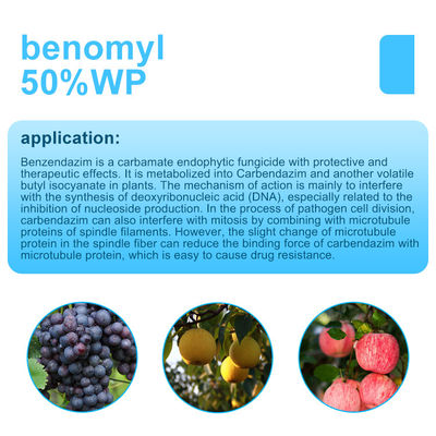 17804-35-2 Benomyl 50%WP Plant Fungicide / Tomato Plant Fungicide