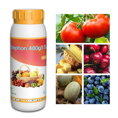 Ethephon 90%Tech Plant Growth Regulators In Horticulture cas 137-26-8