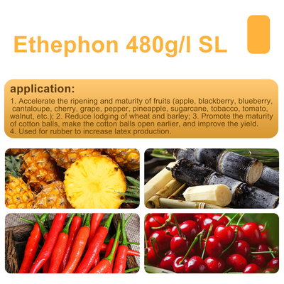 Ethephon 48% SL Reguladores del crecimiento de árboles con propiedades sistémicas, CAS 137-26-8 proveedor 
