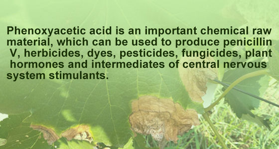 Natural Plant Growth Regulators Beta naphthoxyacetic acid for blackberries