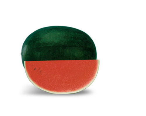 Dark green Organic Watermelon Seeds with Sugar content 11.5% , Black