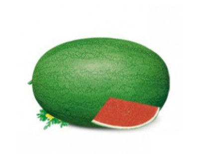 Light green rind Organic Watermelon Seeds with netted stripes