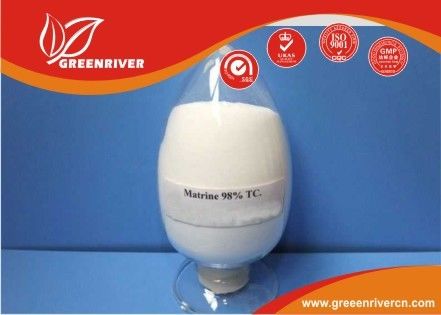 519-02-8 Matrine Insecticide Biological Pesticides for Formosan subterranean termite