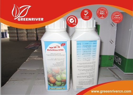 Insecticida no sistémico de malathion cas 121-75-5 / insecticidas organofosforados proveedor 