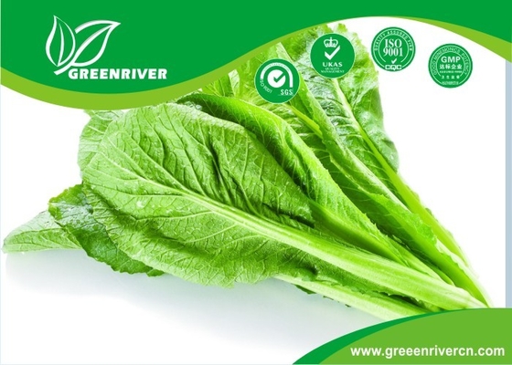 Semillas de mostaza de hojas pequeñas de color verde claro Germinación 85 % proveedor 