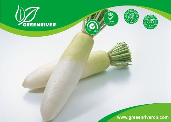 Semillas de rábano de hoja corta de sandía en forma cilíndrica blanca